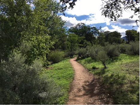August 22, 2016: City to host walk along Santa Fe River Parkway to say thanks to the Friends of Santa Fe River and Michael Smith
